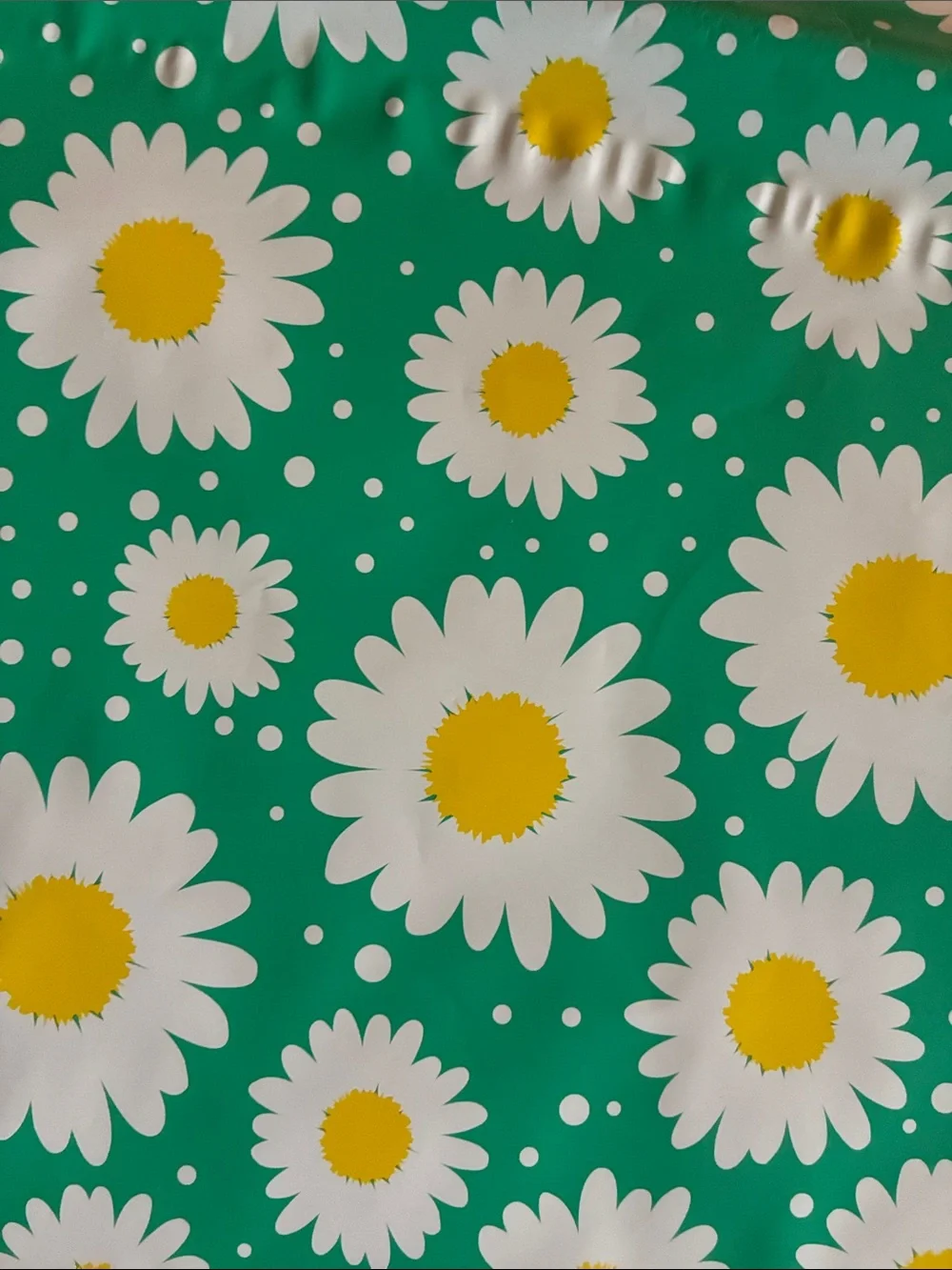 10 Count Daisy Pattern Polymailers
